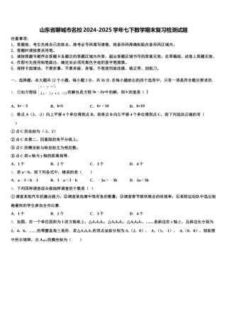山东省聊城市名校2024-2025学年七下数学期末复习检测试题含解析