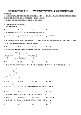 山东省济宁市曲阜市2024-2025学年数学七年级第二学期期末检测模拟试题含解析