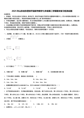 2025年山东省东营邹平县联考数学七年级第二学期期末复习检测试题含解析