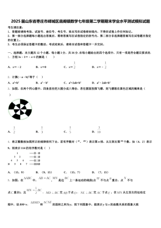 2025届山东省枣庄市峄城区底阁镇数学七年级第二学期期末学业水平测试模拟试题含解析