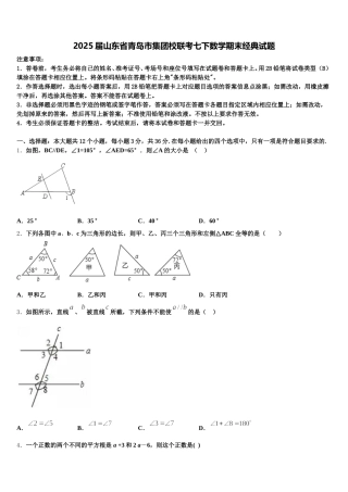 2025届山东省青岛市集团校联考七下数学期末经典试题含解析