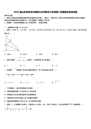 2025届山东省青岛市城阳九中学数学七年级第二学期期末监测试题含解析