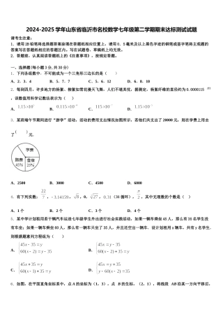 2024-2025学年山东省临沂市名校数学七年级第二学期期末达标测试试题含解析