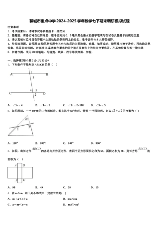 聊城市重点中学2024-2025学年数学七下期末调研模拟试题含解析