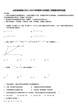 山东省高青县2024-2025学年数学七年级第二学期期末联考试题含解析