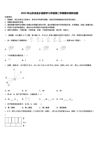 2025年山东省金乡县数学七年级第二学期期末调研试题含解析