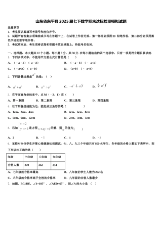 山东省东平县2025届七下数学期末达标检测模拟试题含解析