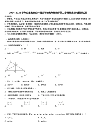 2024-2025学年山东省泰山外国语学校七年级数学第二学期期末复习检测试题含解析
