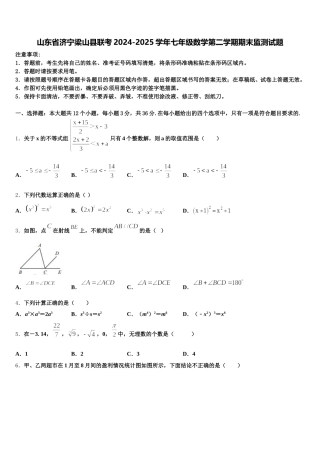 山东省济宁梁山县联考2024-2025学年七年级数学第二学期期末监测试题含解析
