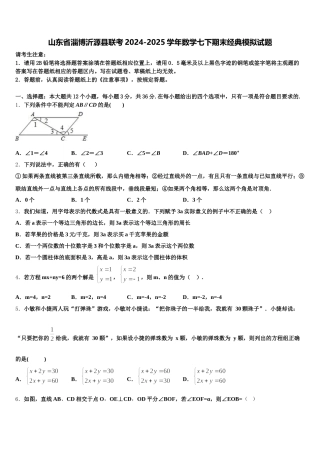 山东省淄博沂源县联考2024-2025学年数学七下期末经典模拟试题含解析