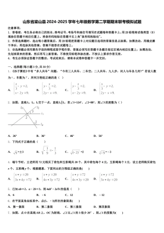 山东省梁山县2024-2025学年七年级数学第二学期期末联考模拟试题含解析