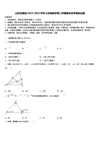 山东省曹县2024-2025学年七年级数学第二学期期末统考模拟试题含解析