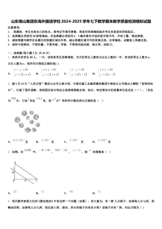 山东南山集团东海外国语学校2024-2025学年七下数学期末教学质量检测模拟试题含解析