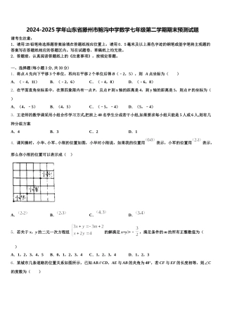 2024-2025学年山东省滕州市鲍沟中学数学七年级第二学期期末预测试题含解析