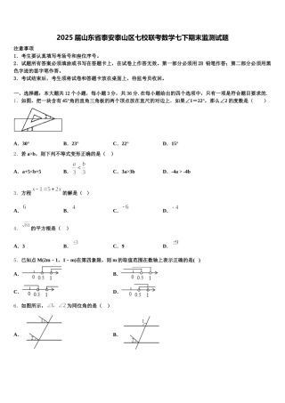 2025届山东省泰安泰山区七校联考数学七下期末监测试题含解析