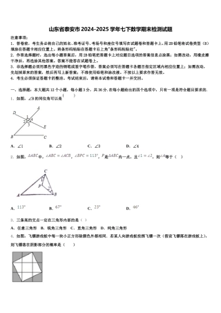山东省泰安市2024-2025学年七下数学期末检测试题含解析