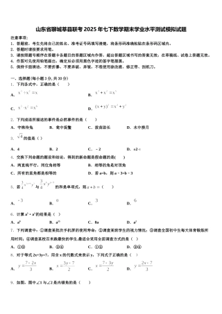 山东省聊城莘县联考2025年七下数学期末学业水平测试模拟试题含解析