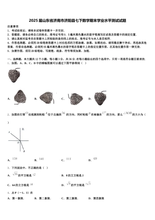 2025届山东省济南市济阳县七下数学期末学业水平测试试题含解析
