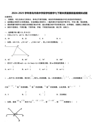 2024-2025学年青岛市高中学段学校数学七下期末质量跟踪监视模拟试题含解析