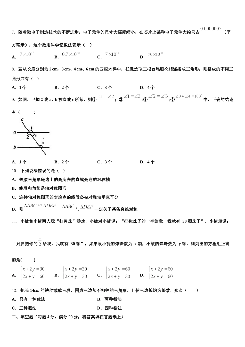 2024-2025学年山东省临沂市罗庄区、河东区、高新区三区数学七下期末经典试题含解析_第2页