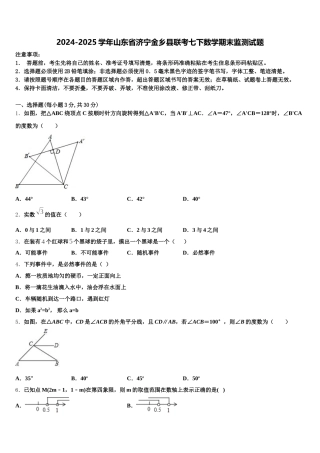 2024-2025学年山东省济宁金乡县联考七下数学期末监测试题含解析