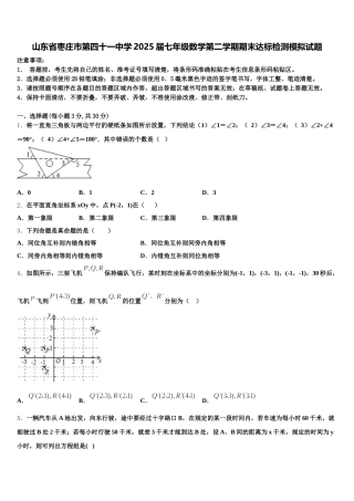 山东省枣庄市第四十一中学2025届七年级数学第二学期期末达标检测模拟试题含解析