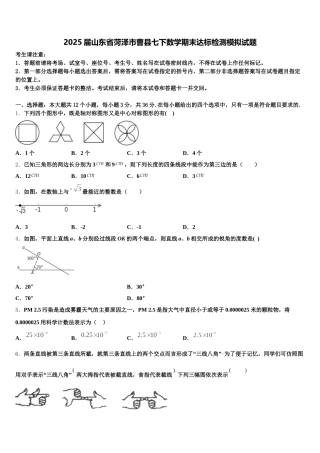 2025届山东省菏泽市曹县七下数学期末达标检测模拟试题含解析