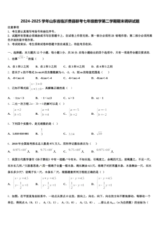 2024-2025学年山东省临沂费县联考七年级数学第二学期期末调研试题含解析