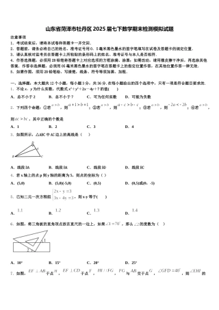 山东省菏泽市牡丹区2025届七下数学期末检测模拟试题含解析