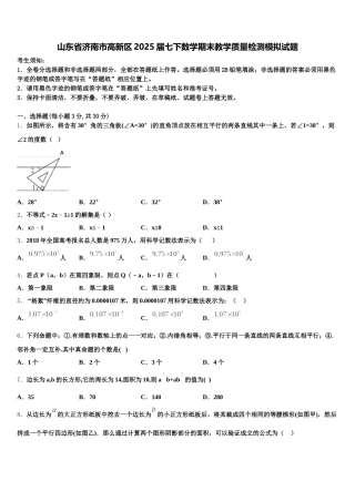 山东省济南市高新区2025届七下数学期末教学质量检测模拟试题含解析