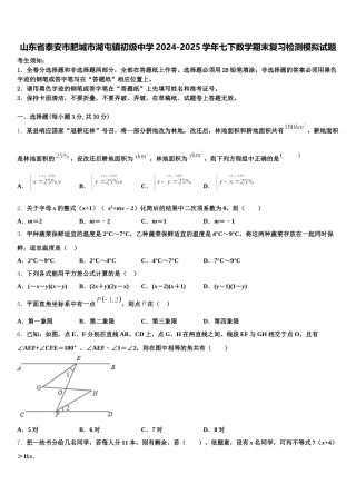山东省泰安市肥城市湖屯镇初级中学2024-2025学年七下数学期末复习检测模拟试题含解析