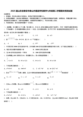 2025届山东省泰安市泰山外国语学校数学七年级第二学期期末预测试题含解析