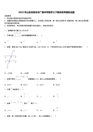 2025年山东省青岛市广雅中学数学七下期末统考模拟试题含解析