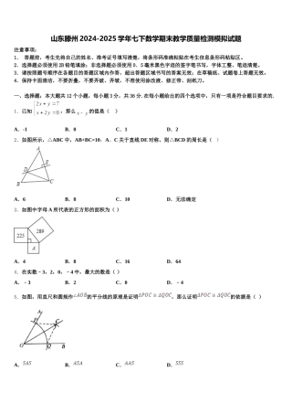山东滕州2024-2025学年七下数学期末教学质量检测模拟试题含解析