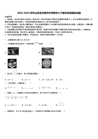 2024-2025学年山东省济南市中学数学七下期末检测模拟试题含解析