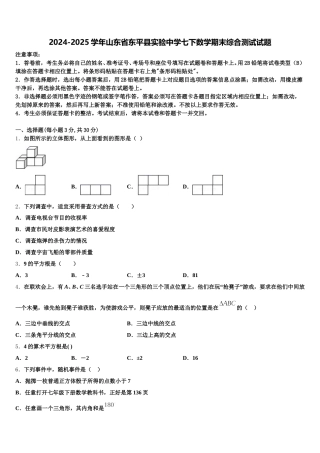 2024-2025学年山东省东平县实验中学七下数学期末综合测试试题含解析