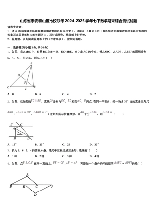 山东省泰安泰山区七校联考2024-2025学年七下数学期末综合测试试题含解析