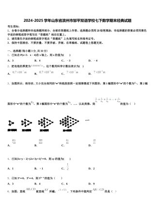 2024-2025学年山东省滨州市邹平双语学校七下数学期末经典试题含解析