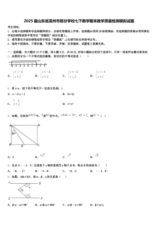 2025届山东省滨州市部分学校七下数学期末教学质量检测模拟试题含解析
