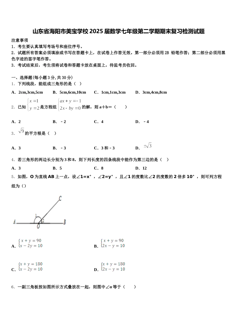山东省海阳市美宝学校2025届数学七年级第二学期期末复习检测试题含解析_第1页