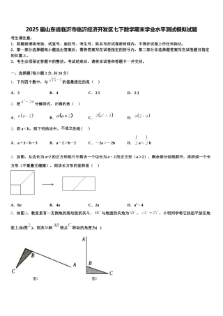 2025届山东省临沂市临沂经济开发区七下数学期末学业水平测试模拟试题含解析