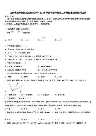 山东省滨州市滨城区东城中学2025年数学七年级第二学期期末检测模拟试题含解析
