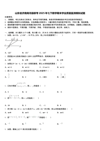 山东省济南商河县联考2025年七下数学期末学业质量监测模拟试题含解析