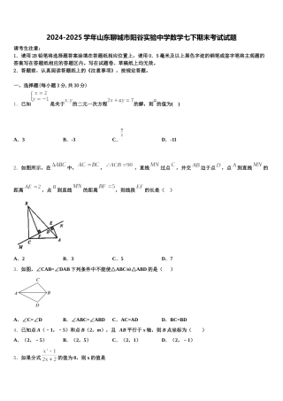 2024-2025学年山东聊城市阳谷实验中学数学七下期末考试试题含解析