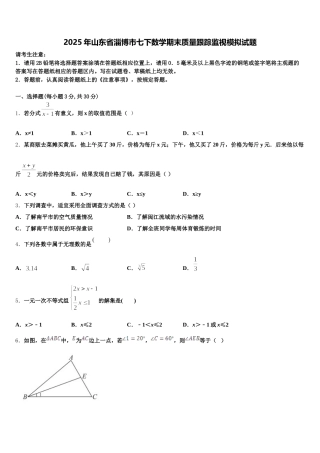 2025年山东省淄博市七下数学期末质量跟踪监视模拟试题含解析