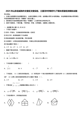 2025年山东省威海市文登区文登实验、三里河中学数学七下期末质量检测模拟试题含解析