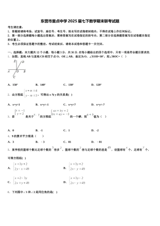 东营市重点中学2025届七下数学期末联考试题含解析