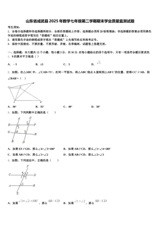 山东省成武县2025年数学七年级第二学期期末学业质量监测试题含解析