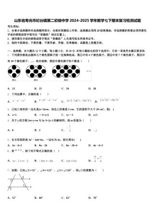 山东省寿光市纪台镇第二初级中学2024-2025学年数学七下期末复习检测试题含解析