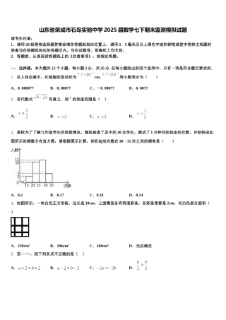 山东省荣成市石岛实验中学2025届数学七下期末监测模拟试题含解析